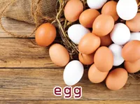 Định nghĩa & cách phát âm từ egg
