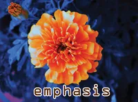 Định nghĩa & cách phát âm từ emphasis