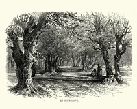 Định nghĩa & cách phát âm từ engraving