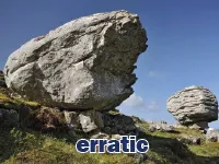 Định nghĩa & cách phát âm từ erratic