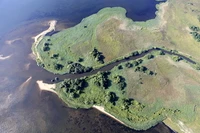 Định nghĩa & cách phát âm từ estuary