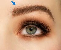 Định nghĩa & cách phát âm từ eyebrow