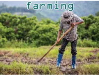Định nghĩa & cách phát âm từ farming