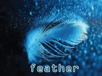 Định nghĩa & cách phát âm từ feather