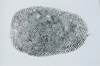 Định nghĩa & cách phát âm từ fingerprint