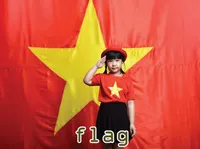 Định nghĩa & cách phát âm từ flag