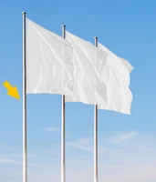 Định nghĩa & cách phát âm từ flagpole