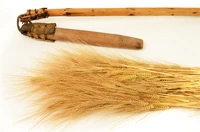 Định nghĩa & cách phát âm từ flail