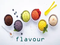 Định nghĩa & cách phát âm từ flavour