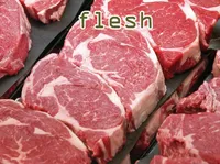 Định nghĩa & cách phát âm từ flesh