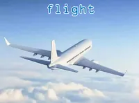 Định nghĩa & cách phát âm từ flight