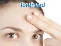Định nghĩa & cách phát âm từ forehead