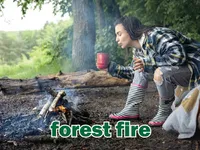 Định nghĩa & cách phát âm từ forest fire