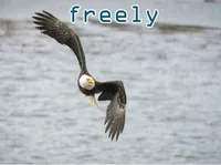 Định nghĩa & cách phát âm từ freely