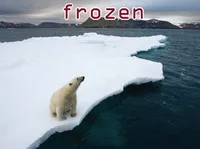 Định nghĩa & cách phát âm từ frozen