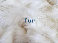 Định nghĩa & cách phát âm từ fur