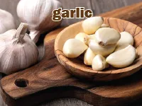 Định nghĩa & cách phát âm từ garlic