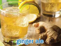 Định nghĩa & cách phát âm từ ginger ale