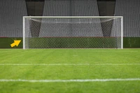 Định nghĩa & cách phát âm từ goalpost