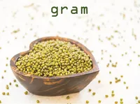 Định nghĩa & cách phát âm từ gram