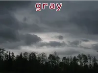 Định nghĩa & cách phát âm từ gray