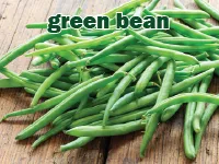Định nghĩa & cách phát âm từ green bean