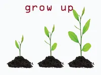 Định nghĩa & cách phát âm từ grow up