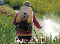 Định nghĩa & cách phát âm từ harmful