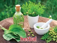 Định nghĩa & cách phát âm từ herbal