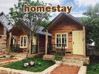 Định nghĩa & cách phát âm từ homestay