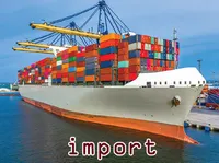 Định nghĩa & cách phát âm từ import