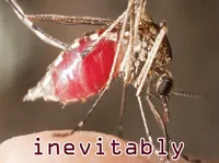 Định nghĩa & cách phát âm từ inevitably