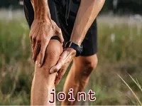 Định nghĩa & cách phát âm từ joint
