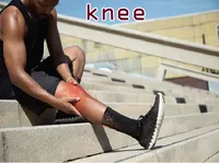 Định nghĩa & cách phát âm từ knee