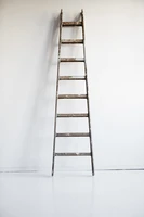 Định nghĩa & cách phát âm từ ladder