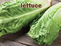 Định nghĩa & cách phát âm từ lettuce