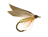 Định nghĩa & cách phát âm từ lure