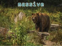 Định nghĩa & cách phát âm từ massive