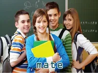 Định nghĩa & cách phát âm từ mate