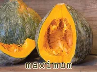 Định nghĩa & cách phát âm từ maximum