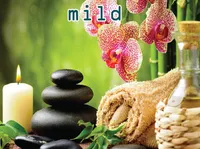Định nghĩa & cách phát âm từ mild