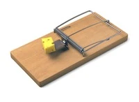 Định nghĩa & cách phát âm từ mousetrap