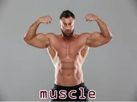 Định nghĩa & cách phát âm từ muscle