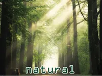 Định nghĩa & cách phát âm từ natural