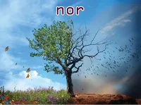Định nghĩa & cách phát âm từ nor