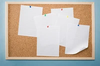 Định nghĩa & cách phát âm từ noticeboard