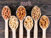 Định nghĩa & cách phát âm từ nut