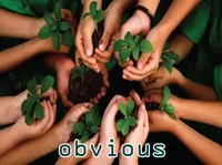 Định nghĩa & cách phát âm từ obvious