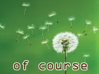 Định nghĩa & cách phát âm từ of course
