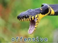 Định nghĩa & cách phát âm từ offensive